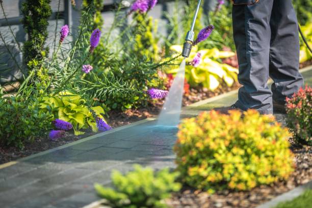 Best Warehouse Cleaning  in Saddle Rock, NY